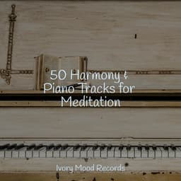 50 Harmony & Piano Tracks for Meditation - Musica para Meditar