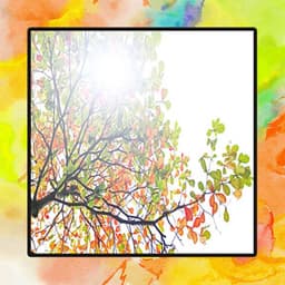 자연의 힐링음악, 휴식과 안정으로 맑은 상쾌함을 주는 아늑한 휴식 시간 속 피아노 모음집 - Relaxation Musician