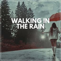 Walking in the Rain - Loopable Rain Sounds