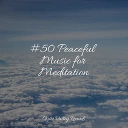 #50 Peaceful Music for Meditation - Yoga Sounds