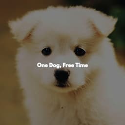 One Dog, Free Time - Musik zum Lesen