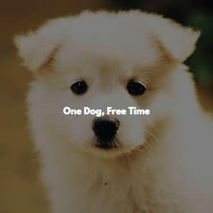 One Dog, Free Time - Musik zum Lesen