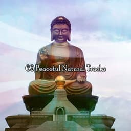 69 Peaceful Natural Tracks - Spiritual Fitness Music