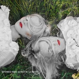 Détendez-vous autour de la nature: allongé dans l'herbe et pensant à la vie - Serenity Nature Sounds Academy