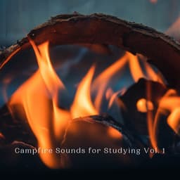 Campfire Sounds for Studying Vol. 1 - Classical Study Music