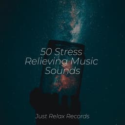 50 Stress Relieving Music Sounds - Reiki Music