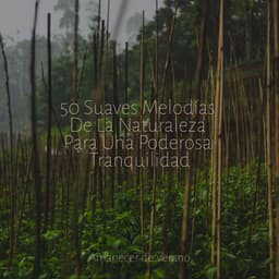 50 Suaves Melodías De La Naturaleza Para Una Poderosa Tranquilidad - PowerThoughts Meditation Club