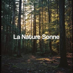 La Nature Sonne - Nature Sounds Nature Music