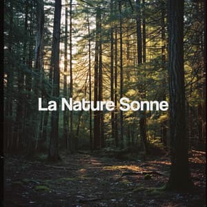 La Nature Sonne - Nature Sounds Nature Music