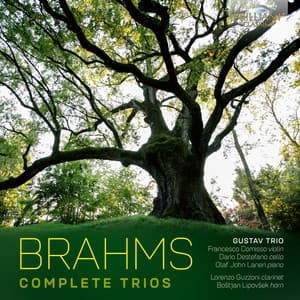 Brahms: Complete Trios - Johannes Brahms