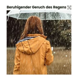 Beruhigender Geruch des Regens - Schlafregengeräusche