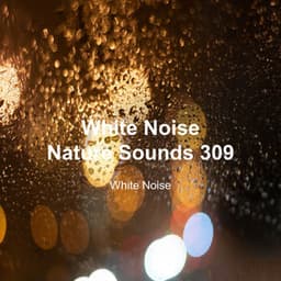 White Noise 309 - White Noise