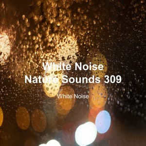 White Noise 309 - White Noise