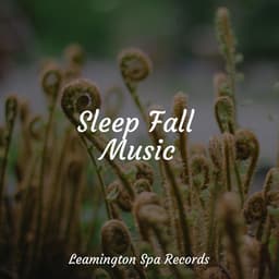 Sleep Fall Music - Mother Nature FX