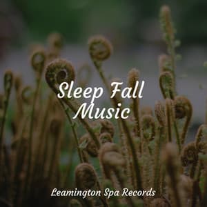 Sleep Fall Music - Mother Nature FX