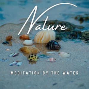 Meditation by the Water: Liquid Calm - Transcendental Meditation