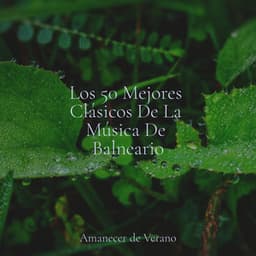 Los 50 Mejores Clásicos De La Música De Balneario - Musica para Bebes