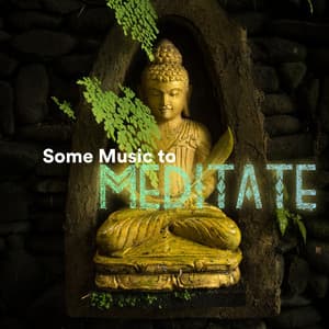 Some Music to Meditate - Some Music to Sleep