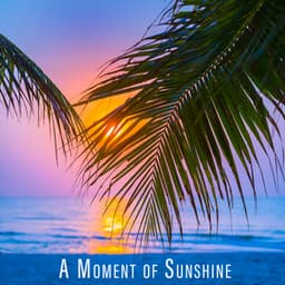A Moment of Sunshine - DJ Domain
