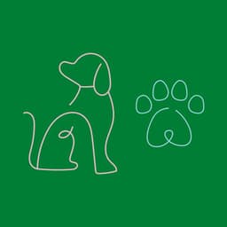 Extraordinary Bgm for Dogs Sitting Back and Relaxing - Chill My Pooch