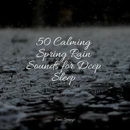 50 Calming Spring Rain Sounds for Deep Sleep - Schlaflieder Relax