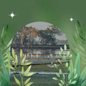 Music - Aromatherapy - Relaxing Nature Sounds