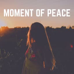 Moment of Peace - White Noise Sound Garden