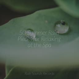 50 Summer Rain Pieces for Relaxing at the Spa - Musica para Dormir Dream House