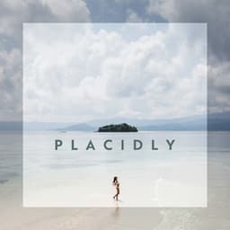 Placidly: Soothing Instrumental Ambient Music for Stress and Anxiety - Sound Therapy Masters