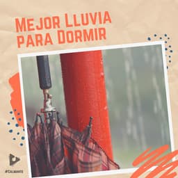 Mejor Lluvia para Dormir - #Calmante