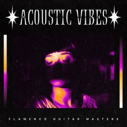 Acoustic Vibes - Flamenco Guitar Masters