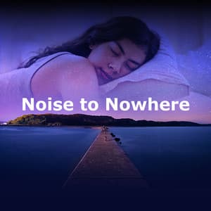Noise to Nowhere - Pet Care Music Therapy