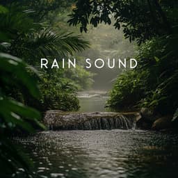 Serene Sleep Journey - Rain Sound