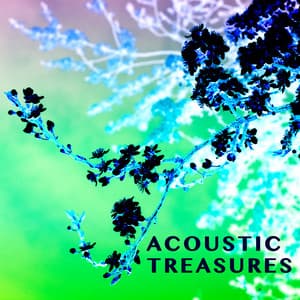 Acoustic Treasures - Laurent Dury