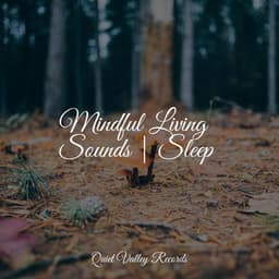 Mindful Living Sounds | Sleep - Namaste Healing Yoga