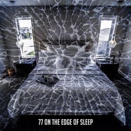 77 On The Edge Of Sleep - Pet Relax Academy