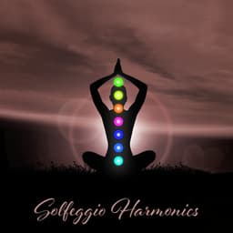 Solfeggio Harmonics: Zen Meditation Retreat - Hannah Watson