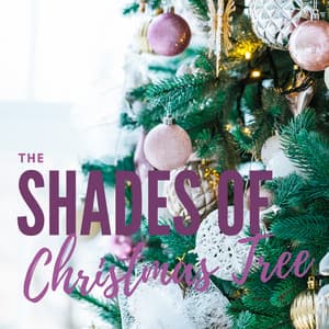 The Shades of Christmas Tree - Christmas Time