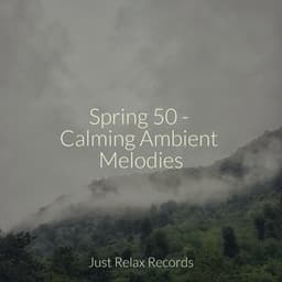Spring 50 - Calming Ambient Melodies - Música relaxante