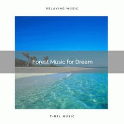 01 Forest Music for Dream - Spa Music Hour