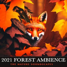 2021 Forest Ambience - The Nature Soundscapes