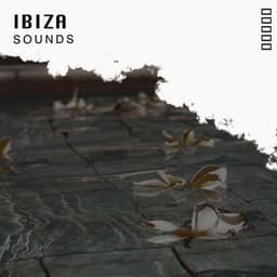 Ibiza Sounds, Vol. 12 - Palm Analogue