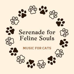 Serenade for Feline Souls: Music for Cats - Sleepy Cat