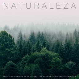 Naturaleza: Pacíficos Sonidos De La Naturaleza Para Una Profunda Relajación - Sonidos de la Naturaleza para Dormir