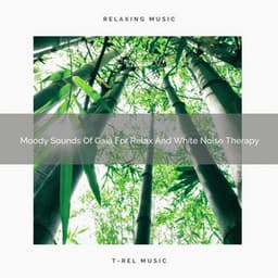 Moody Sounds Of Gaia For Relax And White Noise Therapy - Forest Soundscapes