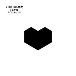 I Love You, Dude - Digitalism