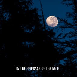 In the Embrace of the Night: Sleepy Mood, Real Dreams, Music for Evening Relief - Sleep Cycles Music Collective