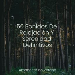 50 Sonidos De Relajación Y Serenidad Definitivos - Meditation