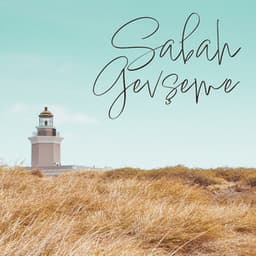 Sabah Gevşeme: Olumlu Duygular ve Enerji, Bir Güne Huzurlu Bir Başlangıç, Sabah Yogası - Rahatla Zamanı Vaha