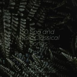 50 Spa and Music Classical Songs - Meditation Awareness